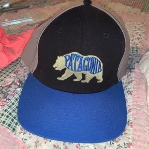 Patagonia hat